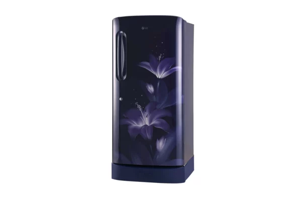LG 215 L Inverter Compressor Direct Cool Single Door Refrigerator (GL-D221ABGY.DBGZEBN)