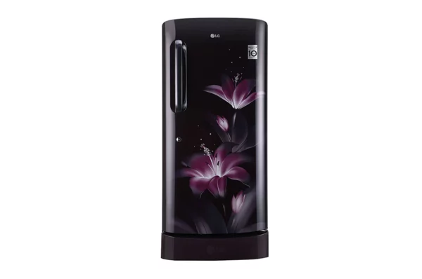 LG 215 L Direct Cool Single Door 3 Star Refrigerator (GL-D221APGD.DPGZEBN)