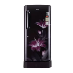LG 215 L 5 Star Inverter Direct Cool Single Door Smart Inverter Compressor Fridge (GL-D221APGZ.DPGZEBN)