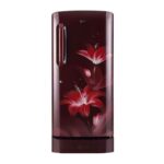 LG 215 L 3 Star, Inverter, Direct Cool Single Door Refrigerator (GL-D221ARGD.DRGZEBN)