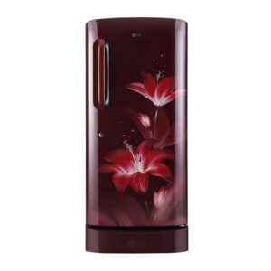LG 215 L 3 Star, Inverter, Direct Cool Single Door Refrigerator (GL-D221ARGD.DRGZEBN)