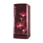LG 215 L Smart Inverter Direct Cool Single Door Refrigerator (GL-D221ARGY.DRGZEBN)