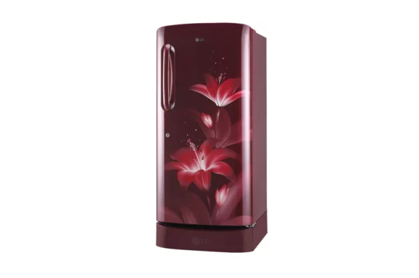 LG 215 L Smart Inverter Direct Cool Single Door Refrigerator (GL-D221ARGY.DRGZEBN)