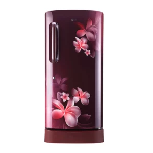 LG 215 L Direct-Cool Single Door Refrigerator (GL-D221ASPD.DSPZEBN)