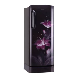 LG 235 L 3 Star Inverter Direct Cool Single Door Refrigerator (GL-D241APGD.DPGZEBN)