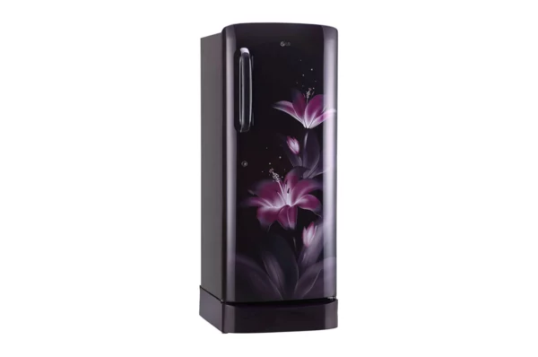 LG 235 L 3 Star Inverter Direct Cool Single Door Refrigerator (GL-D241APGD.DPGZEBN)