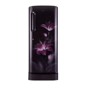 LG 235L Smart Inverter Compressor Refrigerator (GL-D241APGY.DPGZEBN)