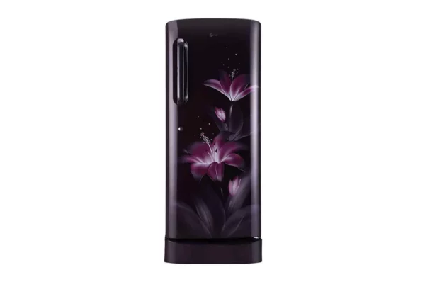 LG 235L Smart Inverter Compressor Refrigerator (GL-D241APGY.DPGZEBN)