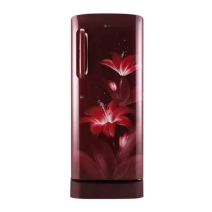 LG 235 L Direct Cool Single Door 3 Star Refrigerator (GL-D241ARGD.DRGZEBN)