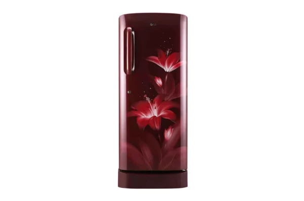 LG 235 L 4 Star Inverter Direct Cool Single Door (GL-D241ARGY.DRGZEBN)