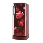 LG 235 L 3 Star Inverter Direct-Cool Single Door Refrigerator (GL-D241ASCD.DSCZEBN)