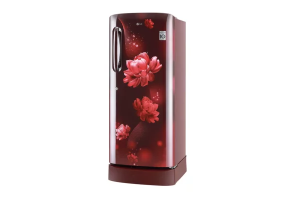 LG 235 L 3 Star Inverter Direct-Cool Single Door Refrigerator (GL-D241ASCD.DSCZEBN)