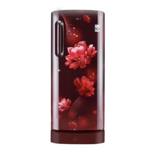 LG 235 L 4 Star Direct-Cool Single Door Refrigerator (GL-D241ASCY.DSCZEBN)