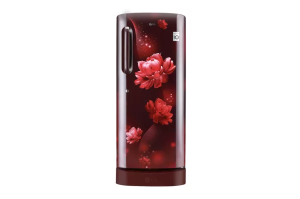 LG 235 L 4 Star Direct-Cool Single Door Refrigerator (GL-D241ASCY.DSCZEBN)