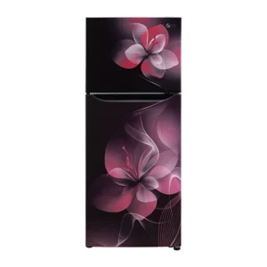 LG 260 L Frost Free Smart Inverter Compressor Refrigerator (GL-N292BPDY.APDZEBN)