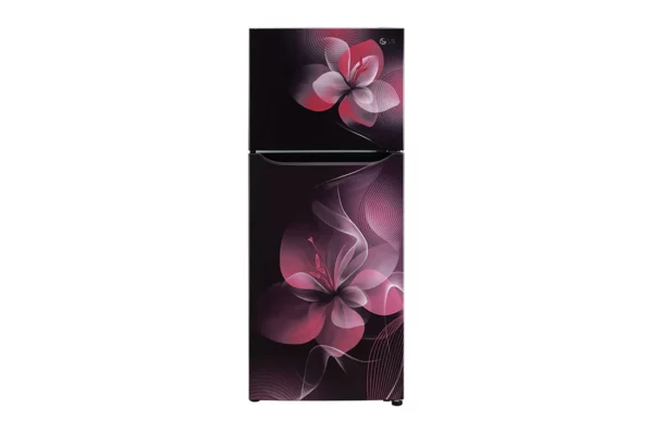 LG 260 L Frost Free Smart Inverter Compressor Refrigerator (GL-N292BPDY.APDZEBN)