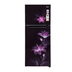 LG 260 L Frost Free Refrigerator With Smart Inverter Compressor (GL-N292BPGY.APGZEBN)