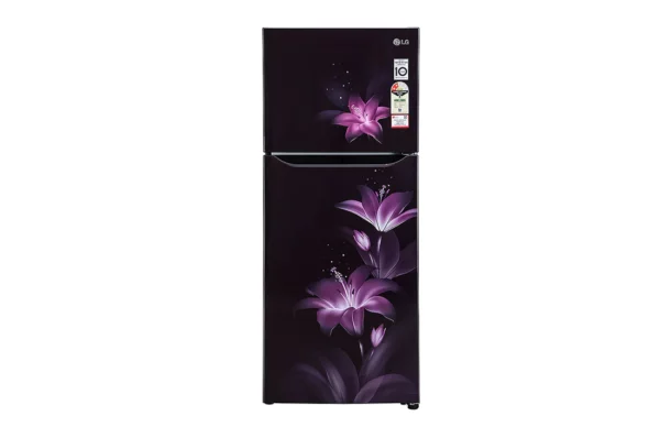 LG 260 L Frost Free Refrigerator With Smart Inverter Compressor (GL-N292BPGY.APGZEBN)