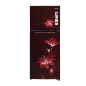 LG 260 L Frost Free Refrigerator With Smart Inverter Compressor (GL-N292BRGY.ARGZEBN)
