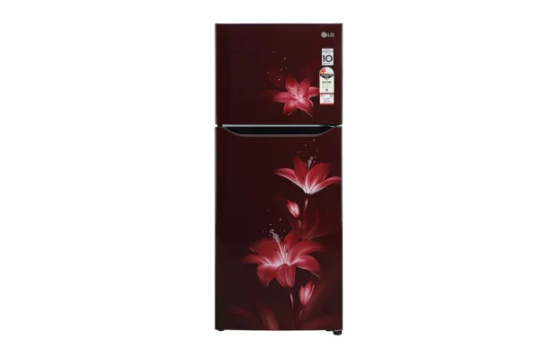 LG 260 L Frost Free Refrigerator With Smart Inverter Compressor (GL-N292BRGY.ARGZEBN)
