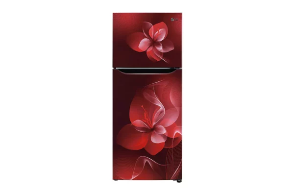 LG 260 L - 2 Star Double Door, Multi Air Flow Refrigerator (GL-N292BSDY.ASDZEBN)