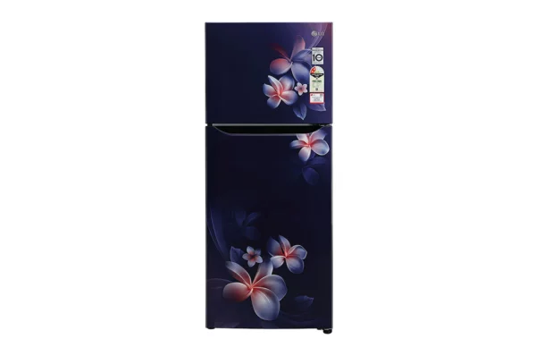 LG 260 L Frost-Free Double Door Refrigerator with Smart Inverter Compressor (GL-N292DBPY.ABPZEBN)