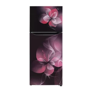 LG 260L Double Door Frost Free Refrigerator (GL-N292DPDY.APDZEBN)