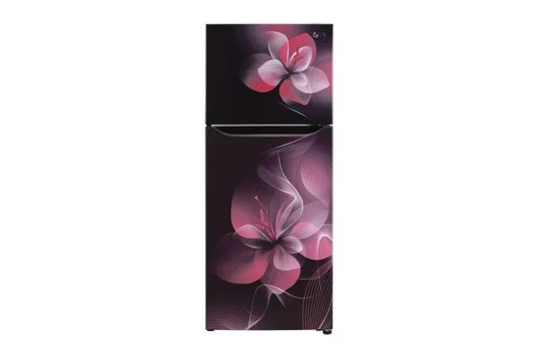 LG 260L Double Door Frost Free Refrigerator (GL-N292DPDY.APDZEBN)