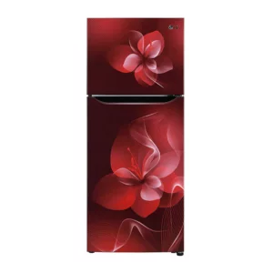 LG 260 L 2 Star Smart Inverter Frost-Free Double Door Refrigerator (GL-N292DSDY.DSDZEBN)