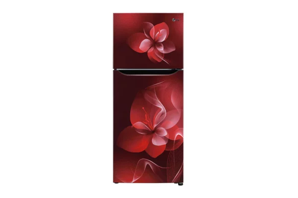 LG 260 L 2 Star Smart Inverter Frost-Free Double Door Refrigerator (GL-N292DSDY.DSDZEBN)
