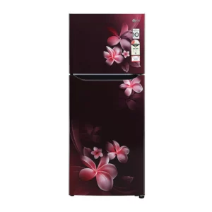LG 260L 2 Star Frost Free - Double Door - Multi Air Flow Refrigerator (GL-N292DSPY.ASPZEBN)