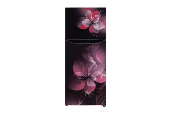 LG 260 L 2 star Double Door Refrigerator (GL-S292DPDY.DPDZEBN)