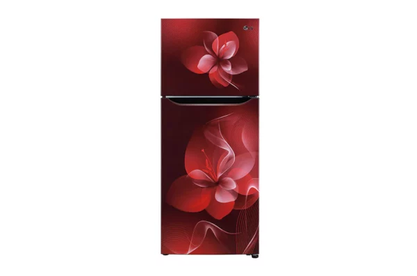 LG 260 L 2 star Double Door Refrigerator (GL-S292DSDY.ASDZEBN)