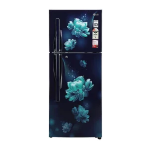 LG 260 L Frost Free Refrigerator With Smart Inverter Compressor (GL-S292RBCY.ABCZEBN)