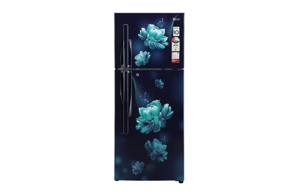 LG 260 L Frost Free Refrigerator With Smart Inverter Compressor (GL-S292RBCY.ABCZEBN)