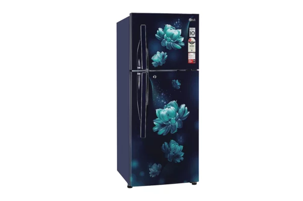 LG 260 L 2 Star Double Door Refrigerator with Smart Inverter Compressor (GL-S292RBCY.DBCZEBN)