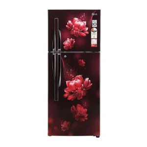 LG 260 L 2 Star Double Door Refrigerator (GL-S292RSCY.ASCZEBN)