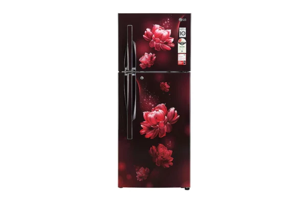 LG 260 L 2 Star Double Door Refrigerator (GL-S292RSCY.ASCZEBN)