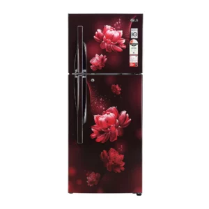 LG 260 L 2 Star Smart Inverter Frost-Free Double Door Refrigerator (GL-S292RSCY.DSCZEBN)