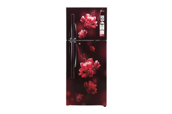 LG 260 L 2 Star Smart Inverter Frost-Free Double Door Refrigerator (GL-S292RSCY.DSCZEBN)