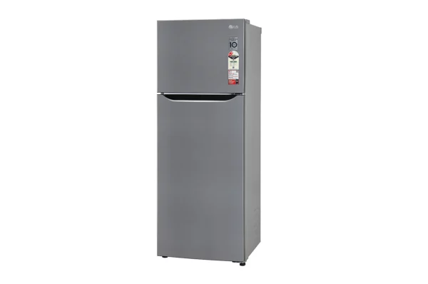 LG 284 Litres Frost Free Refrigerator With Smart Inverter Compressor, Convertible Fridge, Smart Diagnosis (GL-S302SPZY.APZZEBN)