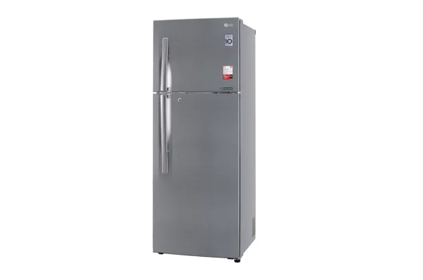 LG 335L 2 Star Smart Inverter Compressor Frost-Free Double Door Refrigerator (GL-S372RPZY.DPZZEBN)