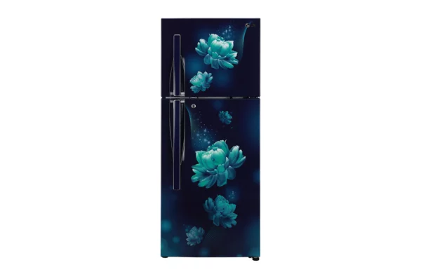LG 260L 3 Star Smart Inverter Frost-Free Double Door Fridge (GL-T292RBCX.DBCZEBN)