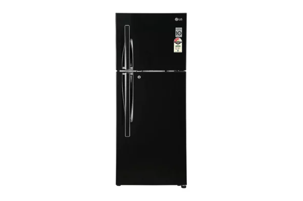 LG 260 L ConvertiblePLUS Fridge with Smart Inverter Compressor (GL-T292RESX.AESZEBN)