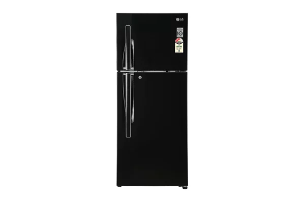 LG 260 L 3 Star with Inverter Double Door Smart Diagnosis Refrigerator (GL-T292RESX.DESZEBN)