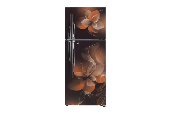 LG 260 L Convertible Fridge with Smart Inverter Compressor (GL-T292RHDY.AHDZEBN)