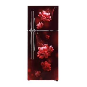 LG 260 L 3 star Double Door Refrigerator (GL-T292RSCX.ASCZEBN)