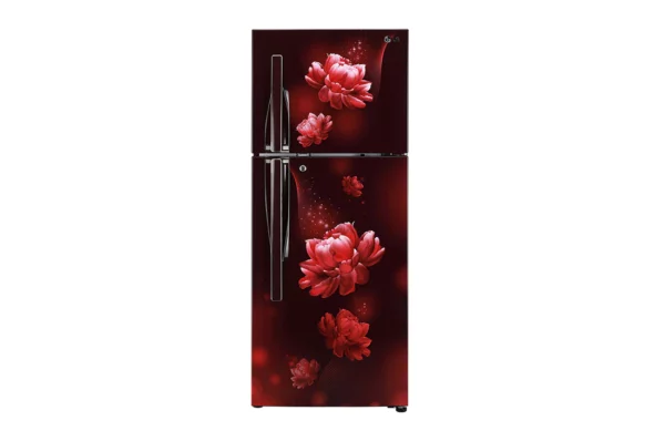 LG 260 Litres ConvertiblePLUS Fridge with Smart Inverter Compressor (GL-T292RSCY.ASCZEBN)
