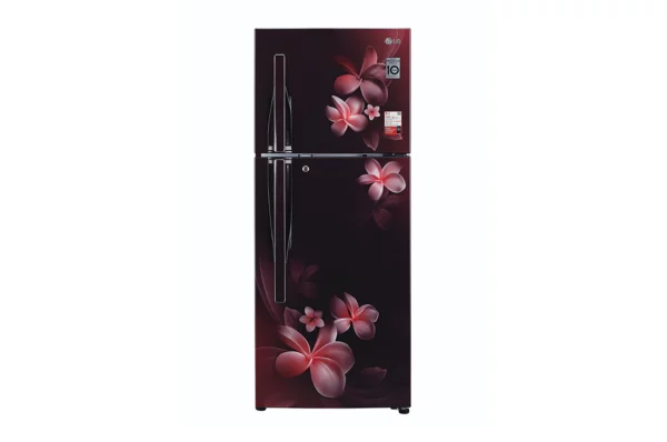 LG 260 L 2 Star Double Door Refrigerator (GL-T292RSPX.ASPZEBN)