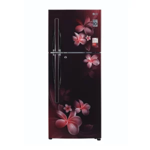 LG 260 L 3 Star Inverter Linear Frost-Free Double Door (GL-T292RSPX.DSPZEBN)